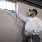 Green Pest Solutions