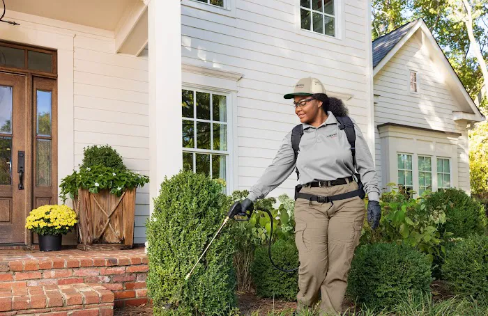 Cooper Pest Solutions Picture 9