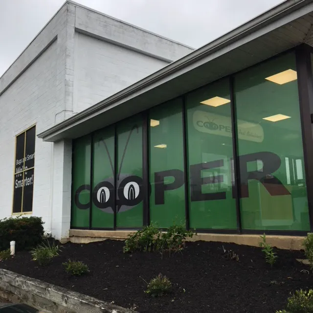 Cooper Pest Solutions Picture 10