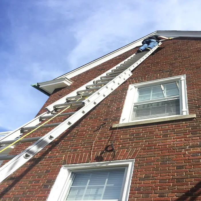Get Bats Out Warwick Picture 2
