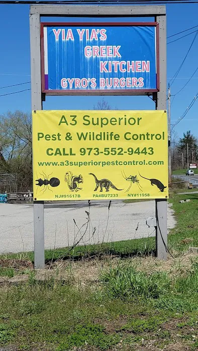 A3 Superior Pest Control Picture 3