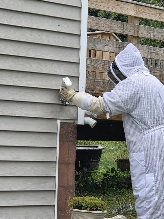 Masters Pest Control Picture 2