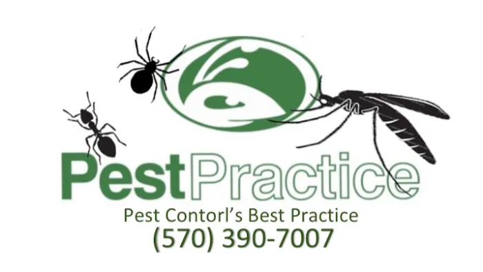 PestPractice Milford Picture 2