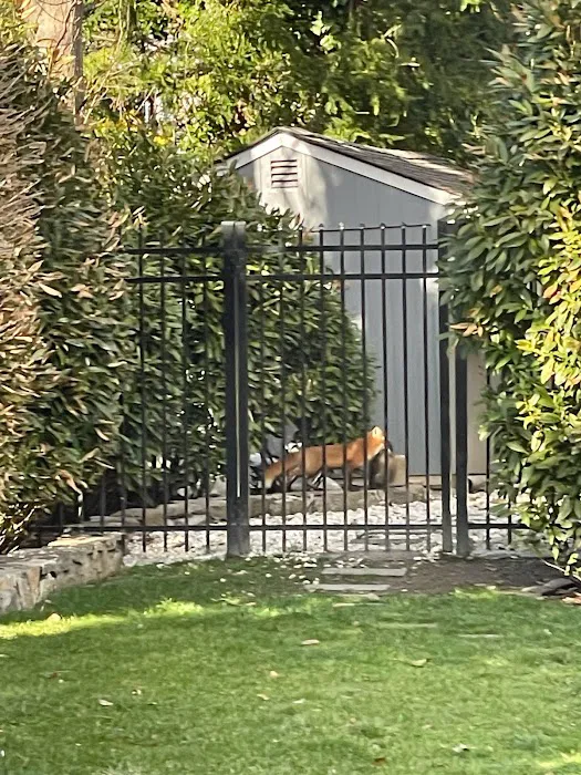 Chaos Wildlife Solutions of Westchester Picture 8