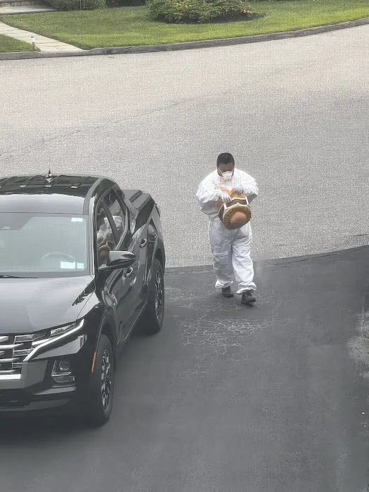 Bee-Z Pest Control Picture 1