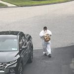 Bee-Z Pest Control