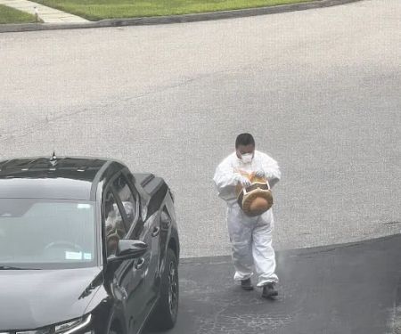 Bee-Z Pest Control