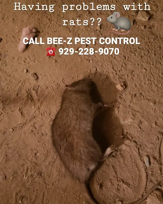 Bee-Z Pest Control Picture 3