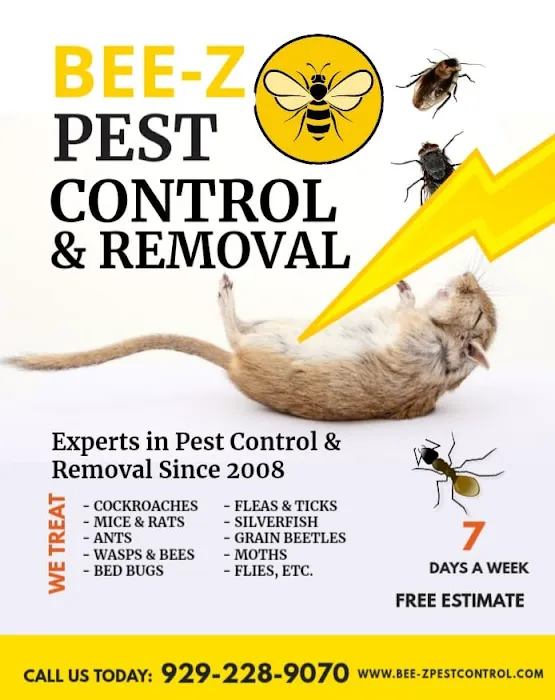 Bee-Z Pest Control Picture 4