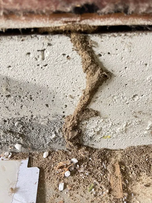 LXS Pest Control Picture 10