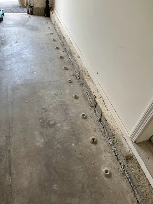 LXS Pest Control Picture 9