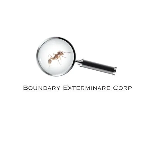 Boundary Exterminare Corp Picture 2