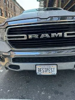 Best@Pest Exterminating Picture 2