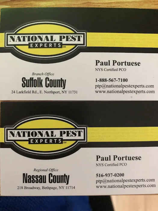National Pest Experts Picture 1