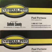 National Pest Experts ico