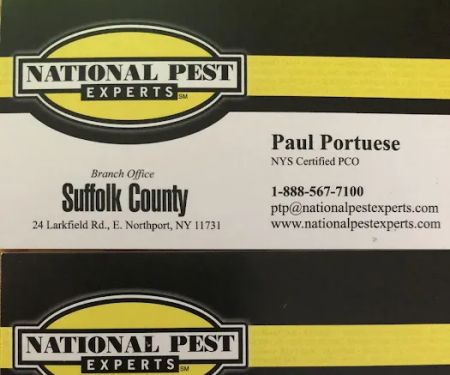 National Pest Experts