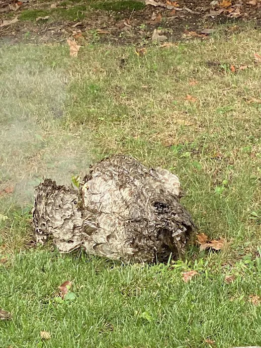 National Pest Experts Picture 9