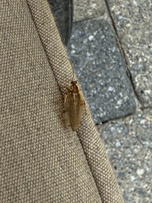 ALM Exterminating Picture 6
