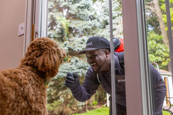 proof. Pest Control Picture 6