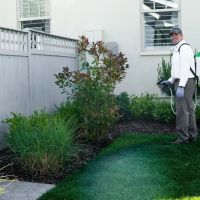 proof. Pest Control ico