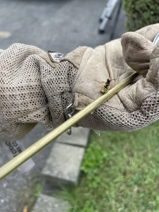 Northeast Exterminating, INC. Picture 1