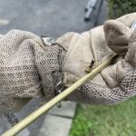 Northeast Exterminating, INC.