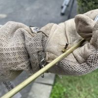 Northeast Exterminating, INC. ico