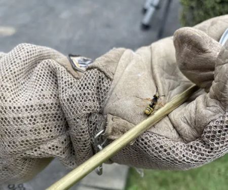 Northeast Exterminating, INC.