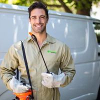 Green Pest Management CT LLC ico