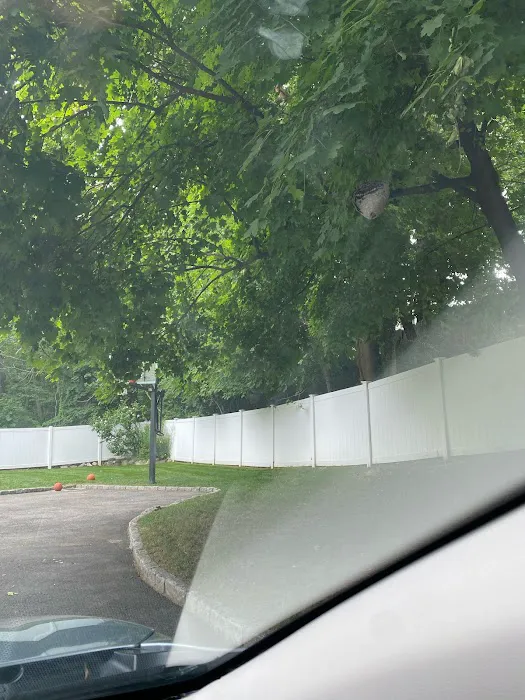 Green Pest Management LLC Picture 5