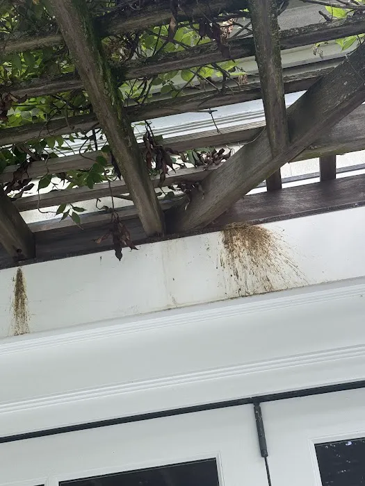 Flow. Pest Solutions Picture 2