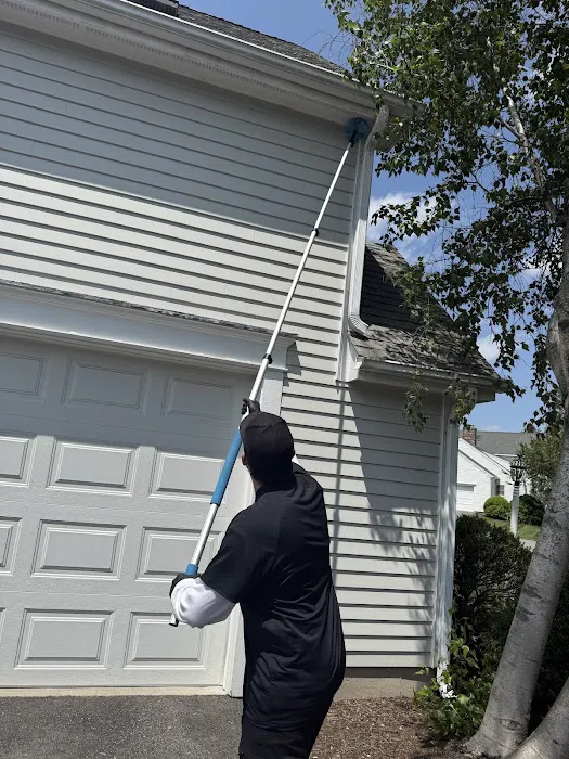 Flow. Pest Solutions Picture 4