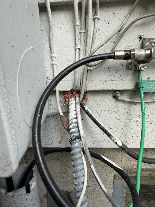 Flow. Pest Solutions Picture 3
