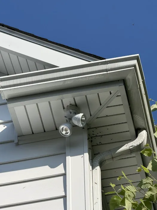 Flow. Pest Solutions Picture 9