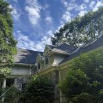 Flow. Pest Solutions