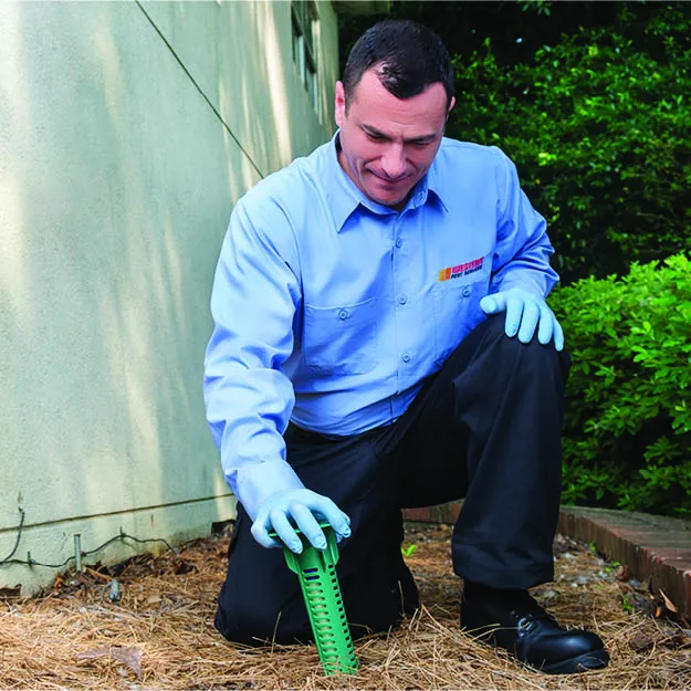 Western Pest Services Picture 8