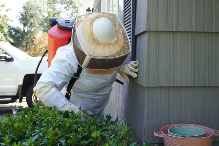 Catseye Pest Control - Norwalk, CT Picture 4