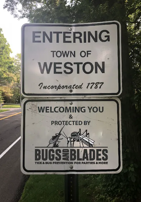 Bugs & Blades Picture 10