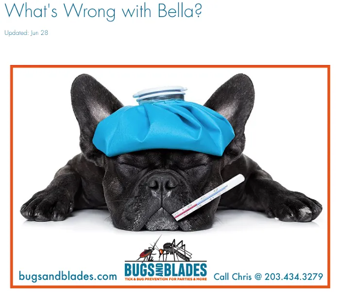 Bugs & Blades Picture 2