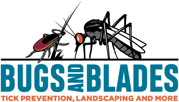 Bugs & Blades Picture 6