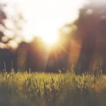 Alternative Earthcare