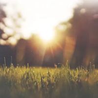 Alternative Earthcare ico
