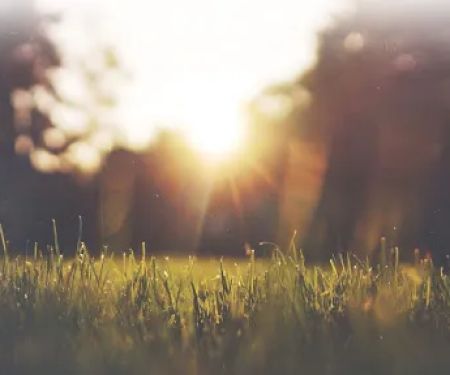 Alternative Earthcare
