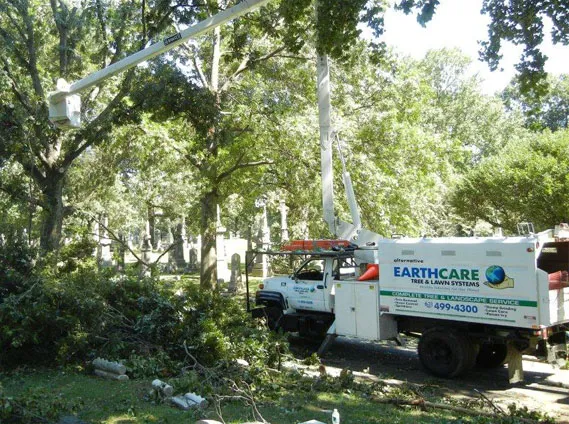 Alternative Earthcare Picture 8