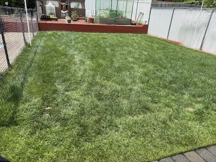 Alternative Earthcare Picture 9