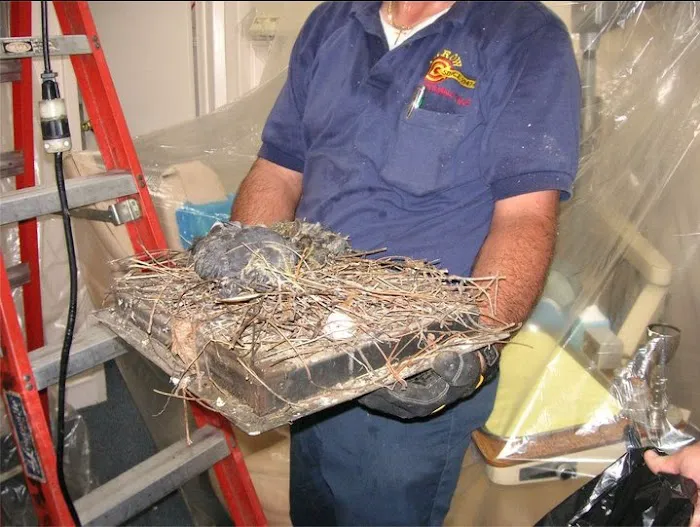 Arrow Exterminating Company, Inc. Picture 8