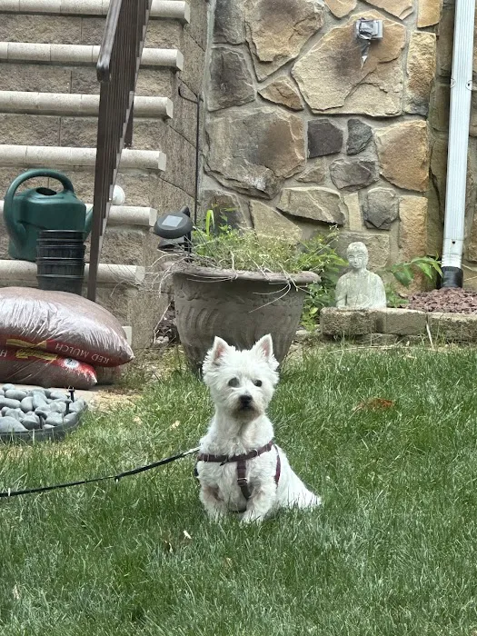 Lawn Buddies Picture 10