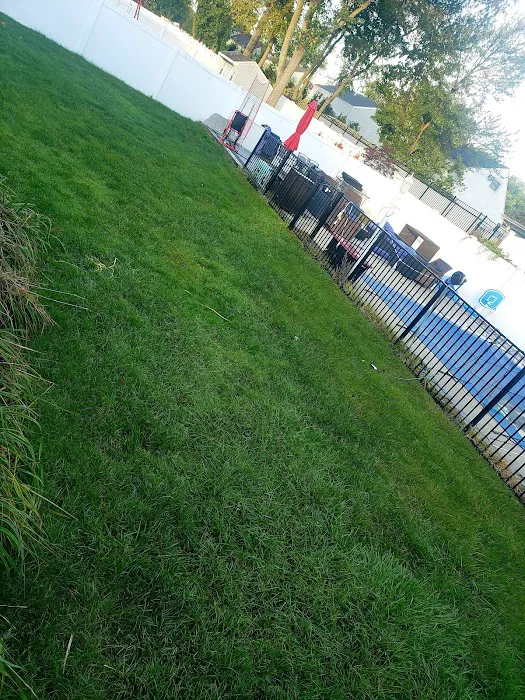 Lawn Buddies Picture 6