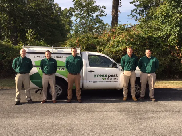 Green Pest Solutions Picture 3