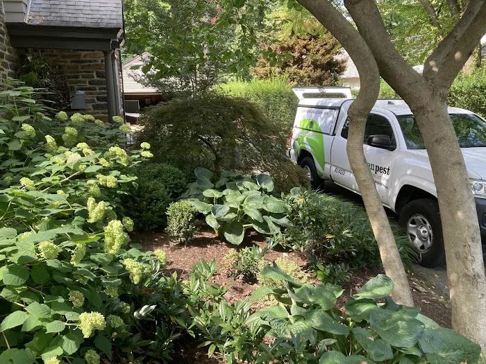Green Pest Solutions Picture 8